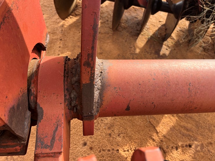 sunflower-1441-image-26