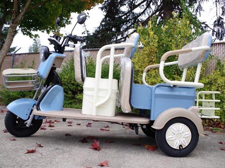 black-gold-electric-leisure-tricycle/mini-tourist-car/mini-golf-cart,-blue,-unused,-assembled-image-5