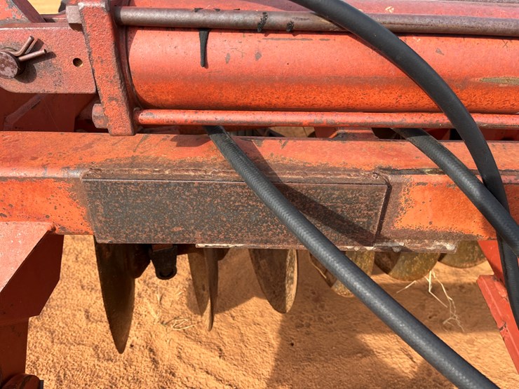 sunflower-1441-image-6