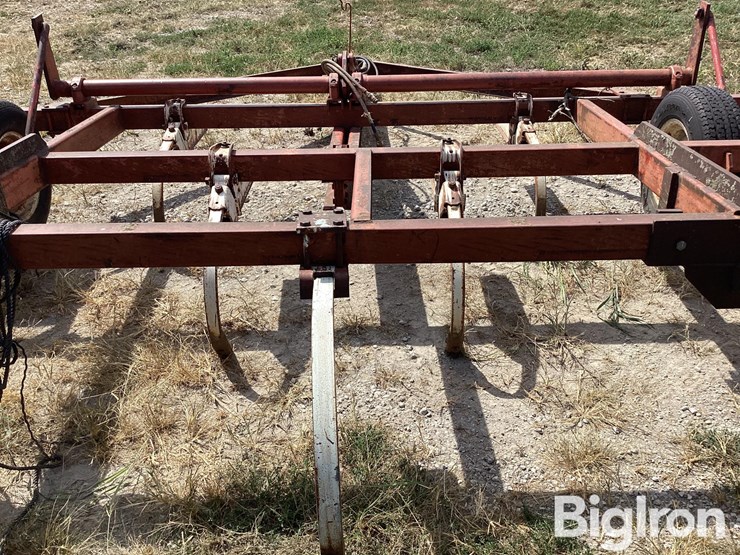 international-11-image-18