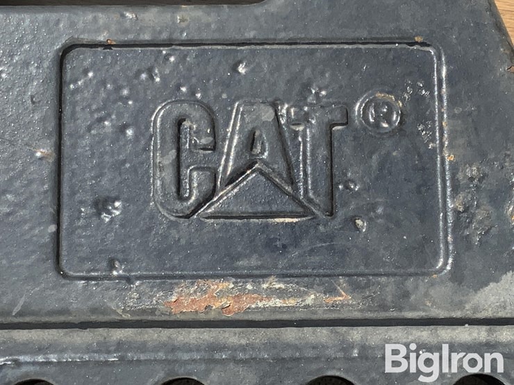 caterpillar-100-image-14