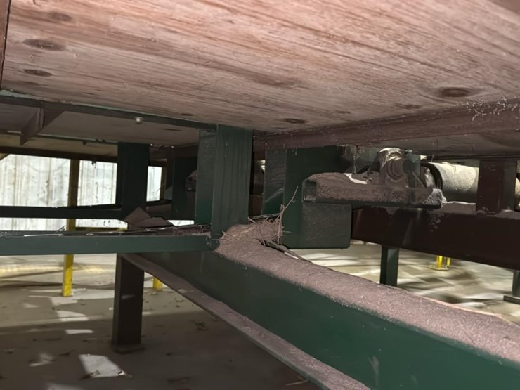 #155-•-3-strand-green-chain-image-5