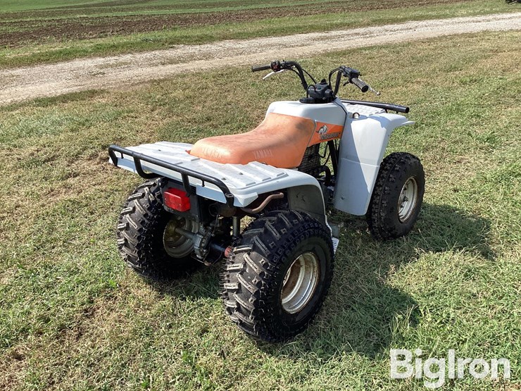 1992-yamaha-timberwolf-2wd-atv-image-5