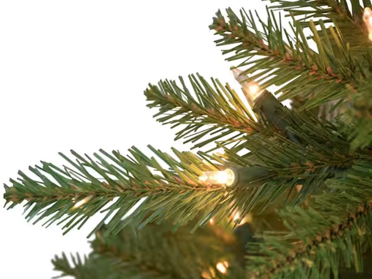 international-9-image-3