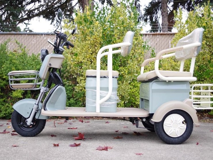 black-gold-electric-leisure-tricycle/mini-tourist-car/mini-golf-cart,-color:-green,-assembled-image-4