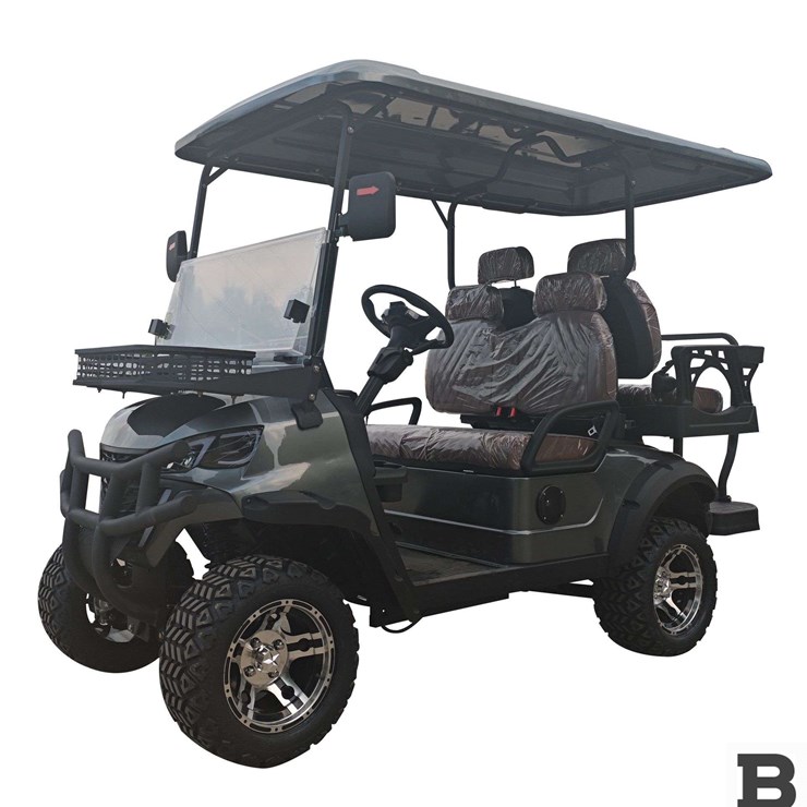 2025 SDLG80 Golf Cart