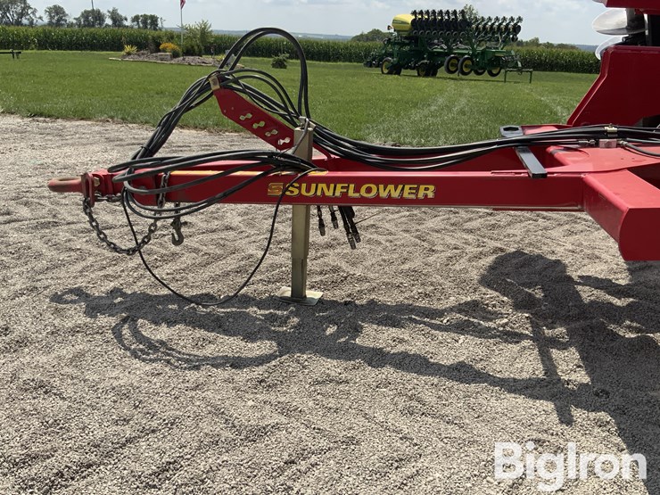 2010-sunflower-1435-image-9