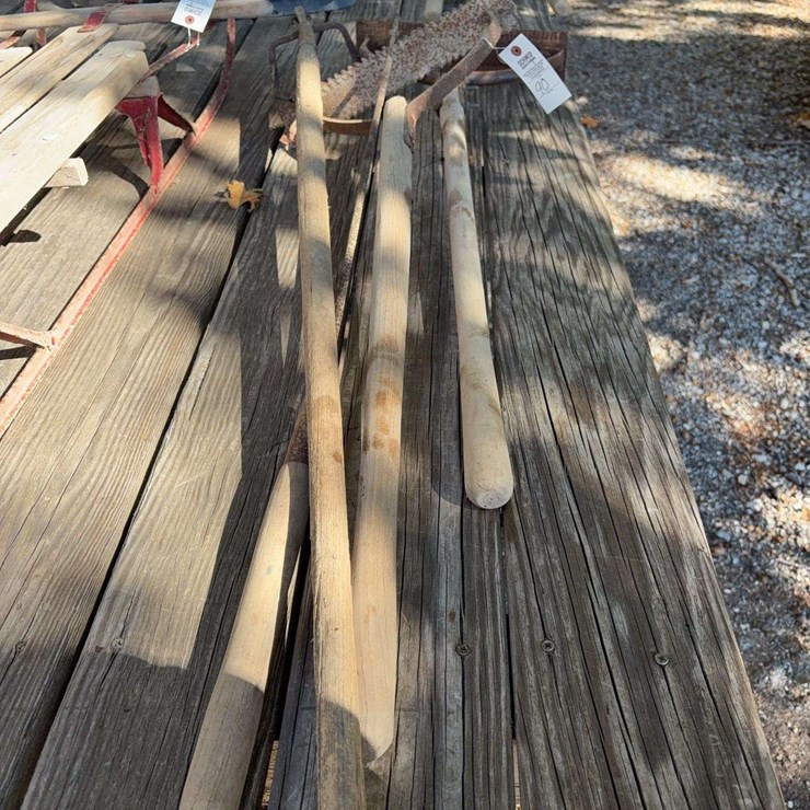 2 Weed/Grass Cutters and hand tools