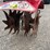 #14033-•-(2)-mini-rototillers-(o4)-image-19