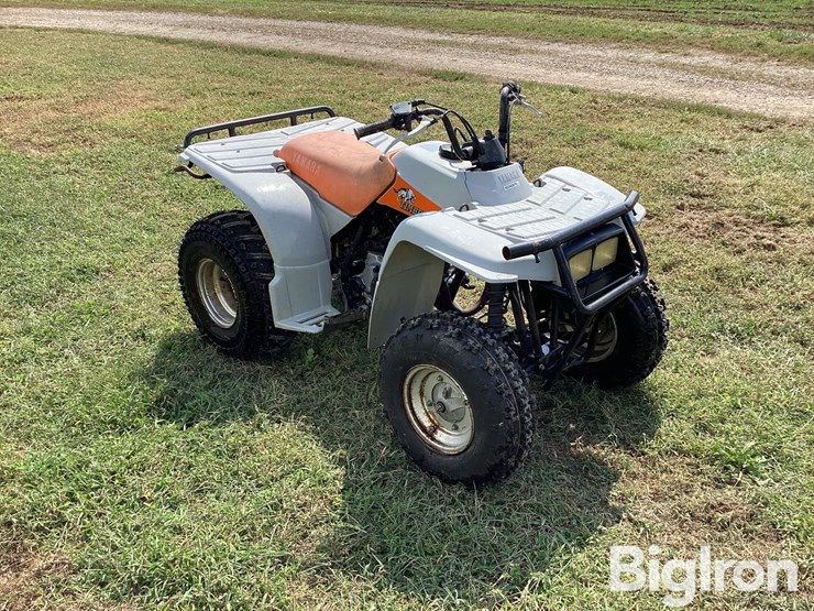 1992-yamaha-timberwolf-2wd-atv-image-3