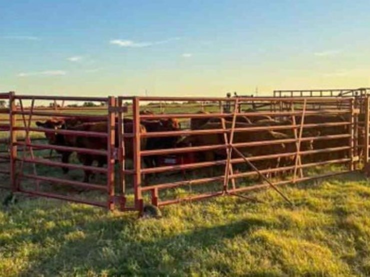 diamond-w-wheel-corral-image-4