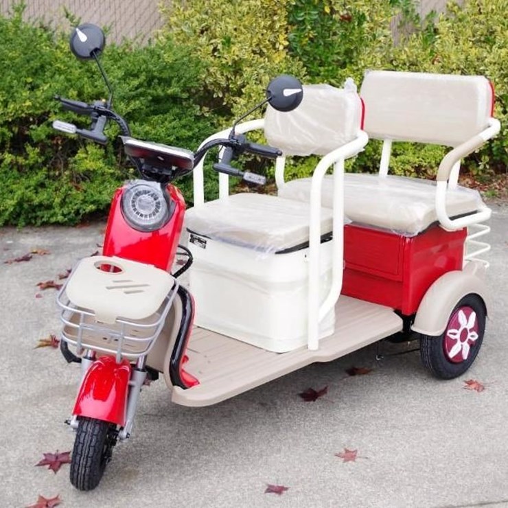 BLACK GOLD Electric Leisure Tricycle/Mini Tourist Car/Mini Golf Cart, Red, Unused, Assembled