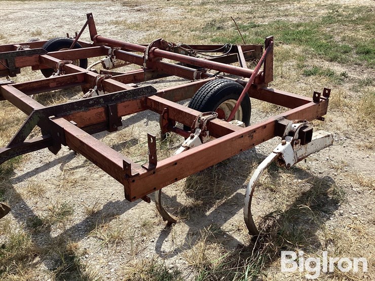 international-11-image-20