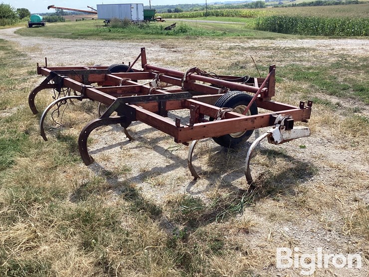 international-11-image-5