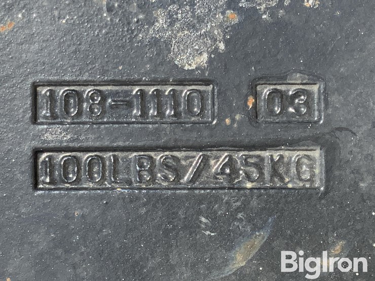 caterpillar-100-image-15