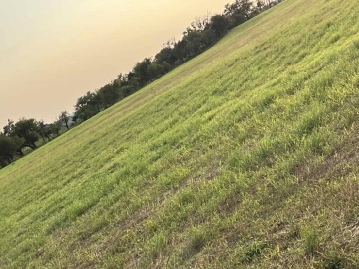 new-bermuda-spriggs-ozark-image-2