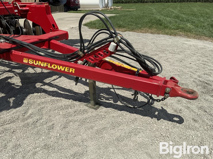 2010-sunflower-1435-image-11