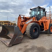 2013 DOOSAN DL300-3