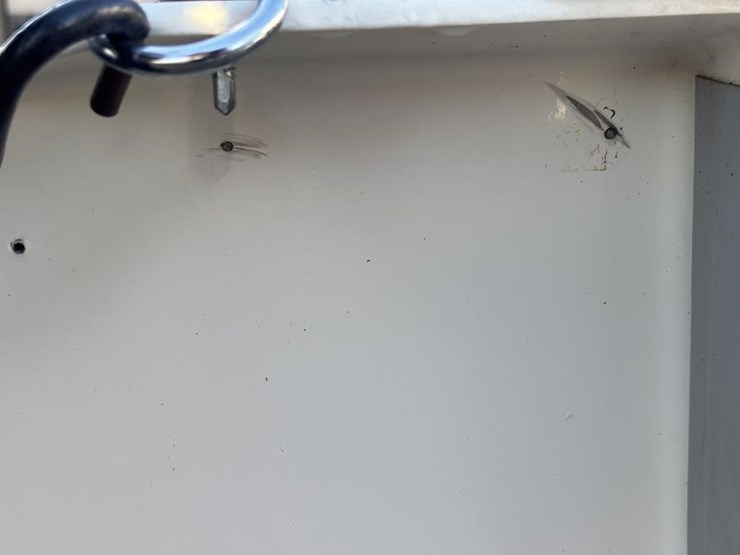 unknown-trailer-image-20