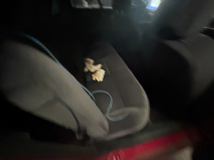 2008-link-175-image-19