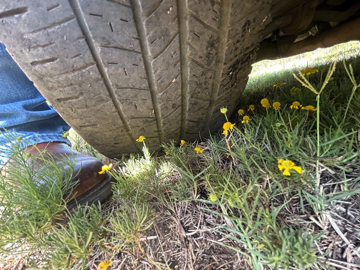 2015-link-175-image-11