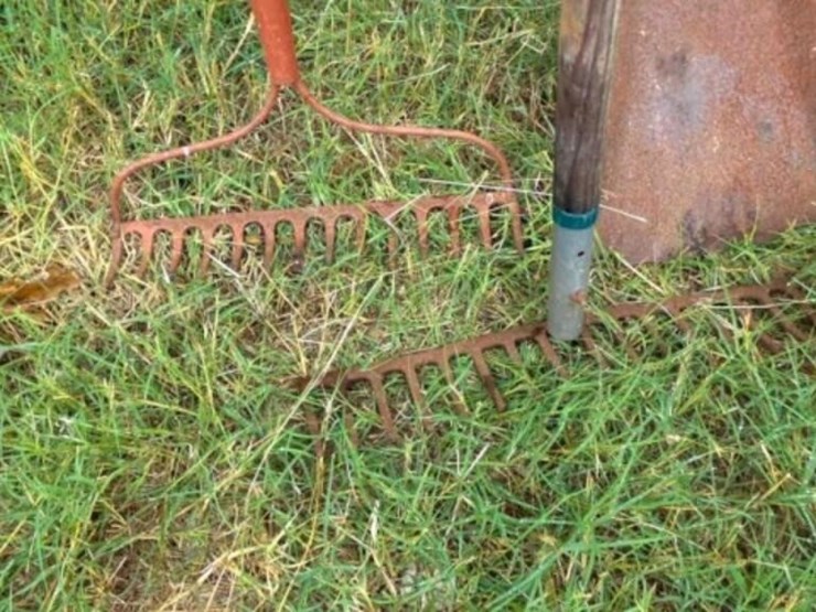 2-rakes,-1-shovel-image-2