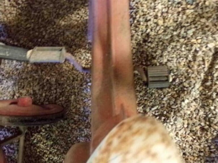 vintage-metal-riding-toy-image-5