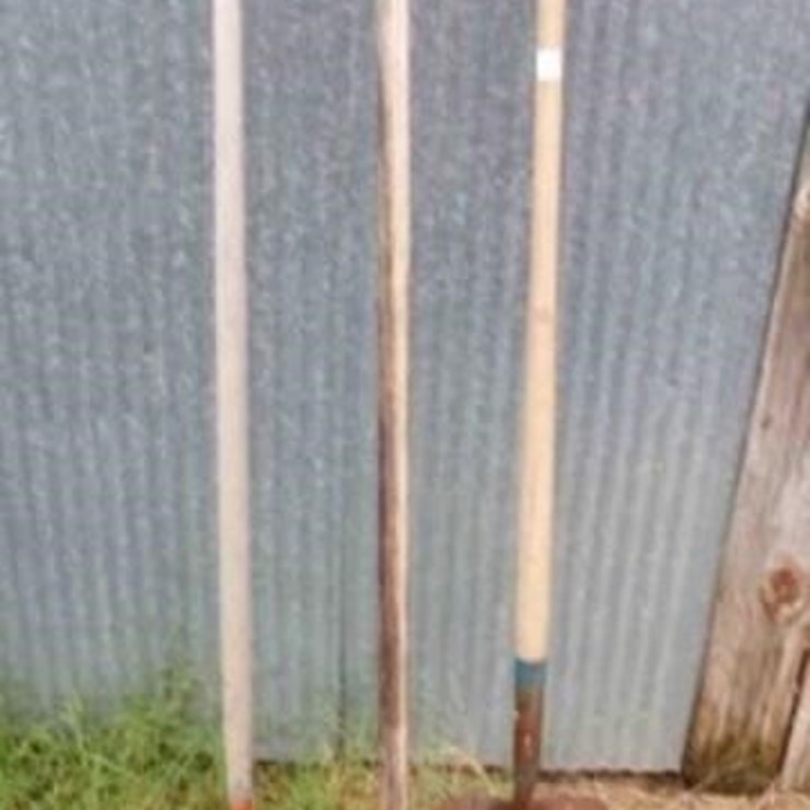 2 RAKES, 1 SHOVEL