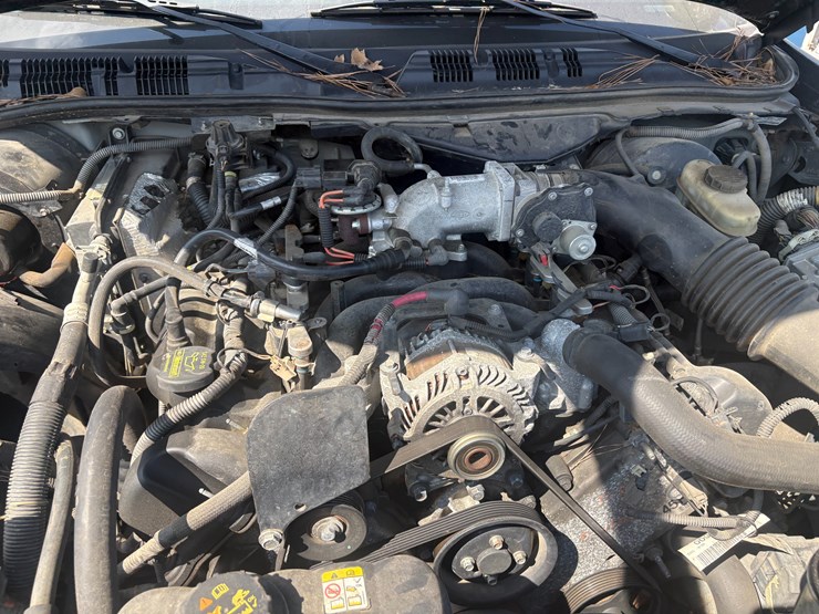 2010-link-175-image-13