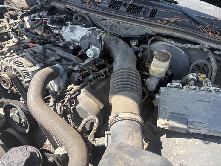 2010-link-175-image-14