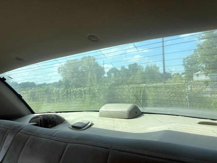 2010-link-175-image-19