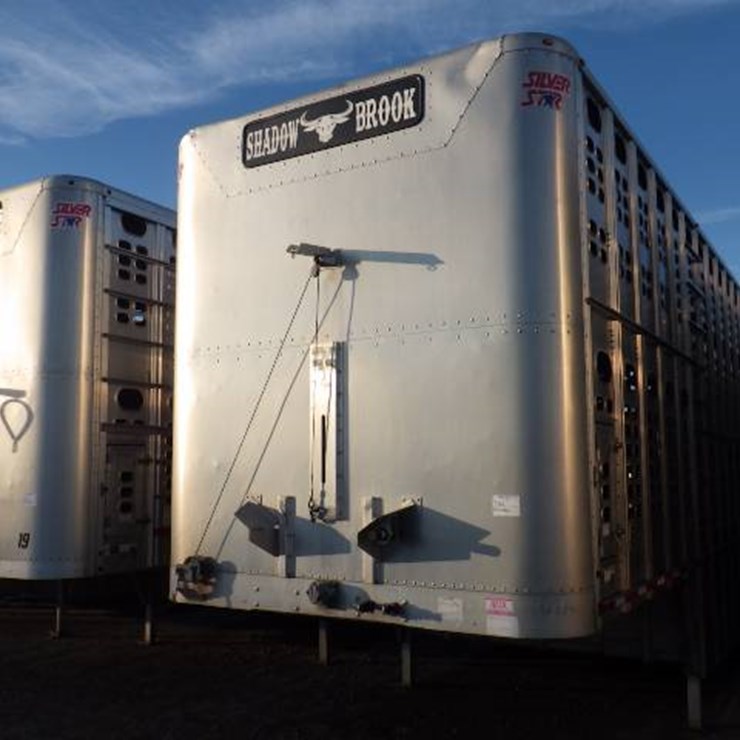 2020 WILSON LIVESTOCK