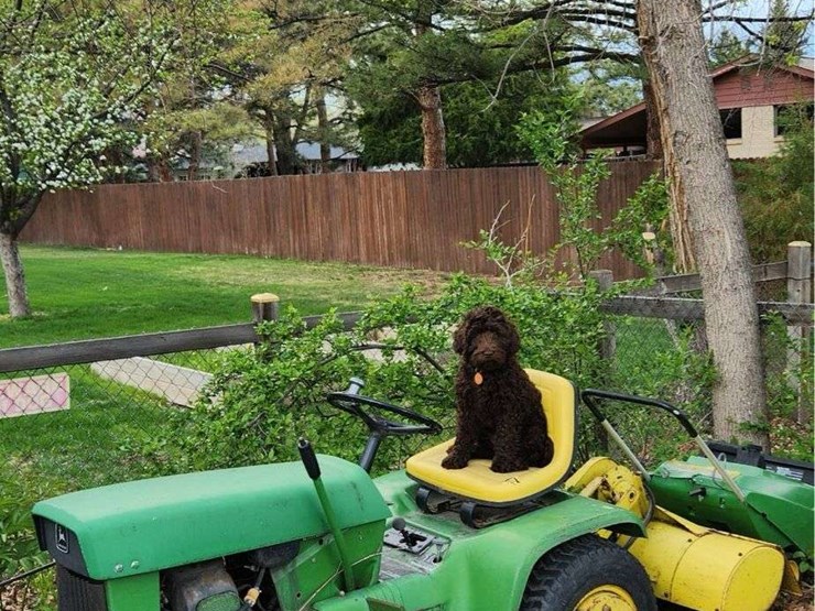 1969-john-deere-110-image-1