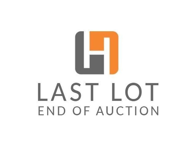 #99999-•-last-item-of-the-auction-image-1