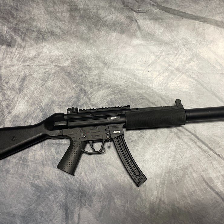 #2202 • GSG Model 522, .22 Semi Auto Rifle, SN: A492717, (Downing, WI)