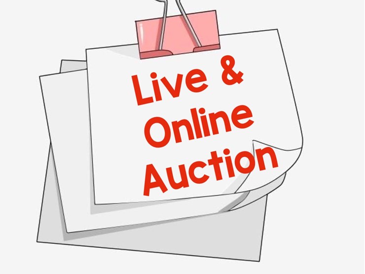 live/online-auction-live-auction-starts-at-10:00am-on-december-20,-2025:--10057-central-hill-road,-windsor,-va-23487-image-1