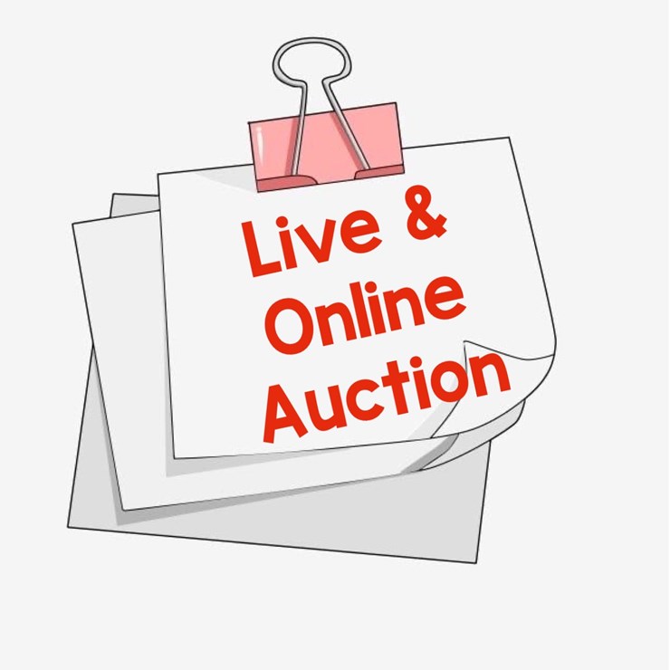 LIVE/ONLINE AUCTION-LIVE AUCTION STARTS AT 10:00AM ON DECEMBER 20, 2025:  10057 CENTRAL HILL ROAD, WINDSOR, VA 23487