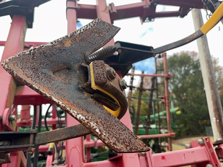 sunflower-6333-image-44