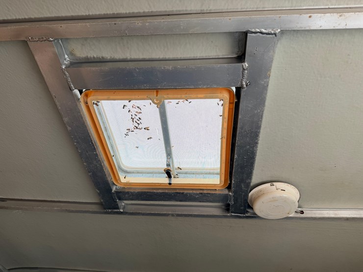 #2153-•-s&s-gooseneck-horse-trailer-image-11