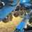 kinze-3660-image-60