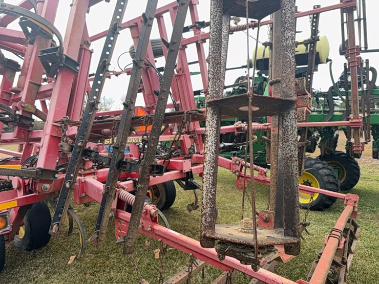 sunflower-6333-image-40