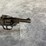#5191-•-eastern-arms-,-32-auto-single-shot-pistol,-sn:-nsn,-(neenah,-wi)-image-6