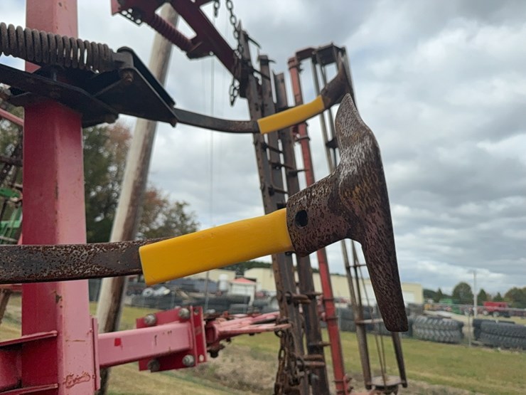 sunflower-6333-image-45