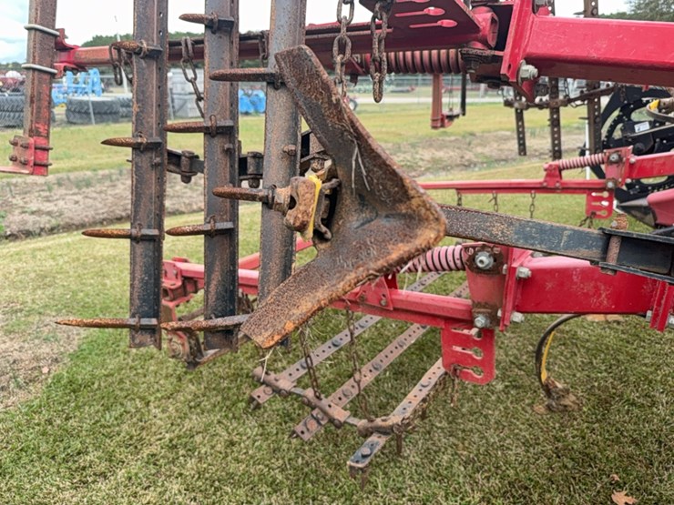 sunflower-6333-image-35