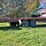 #2151-•-2015-cam-superline-gooseneck-trailer-image-9