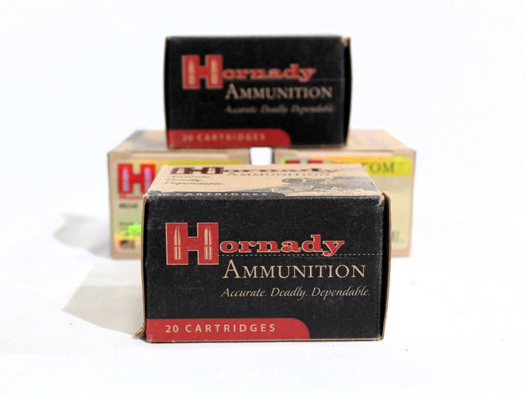 #510-•-(4)-hornaday-50ae-300gr-gr-xtp-20-cartridges-ammo-image-1