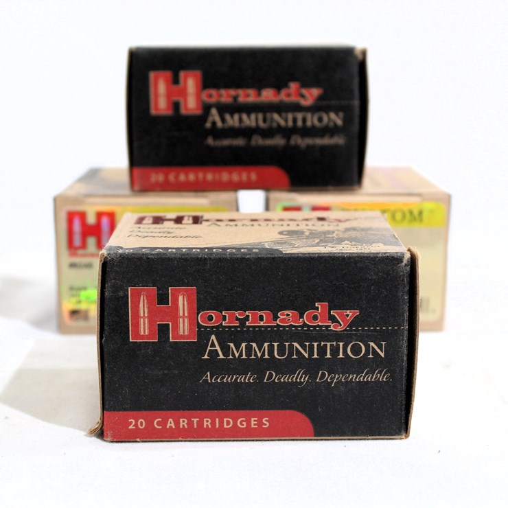 #510 • (4) HORNADAY 50AE 300GR GR XTP 20 CARTRIDGES AMMO