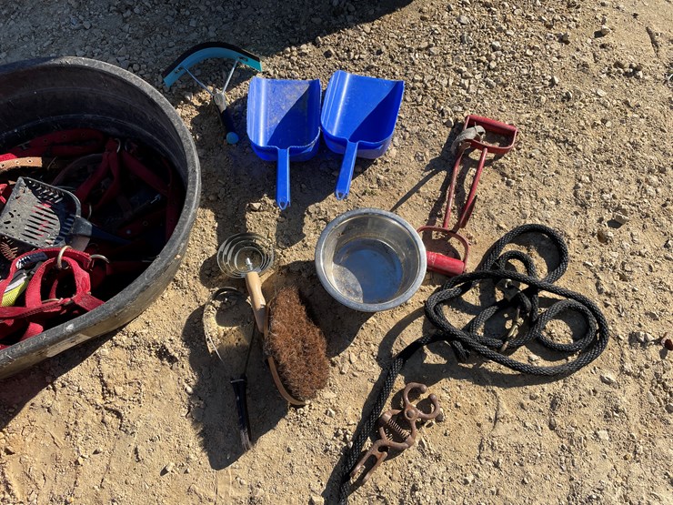 #5954-•-misc.-horse-related-items-image-4