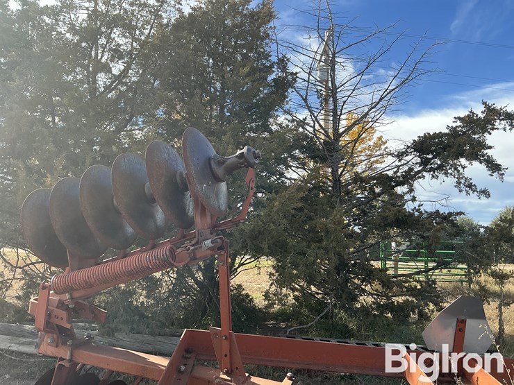 international-475-image-19