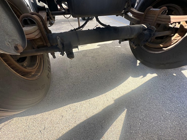 2017-great-dane-dolly-image-4